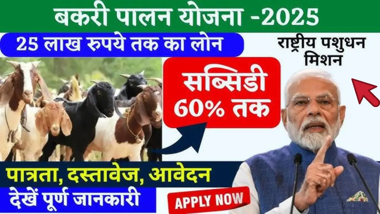 Bakri Palan farm yojana