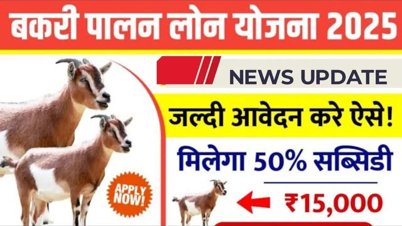 Bakri palan farm yojana