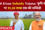 Pm kisan subsidy yojana