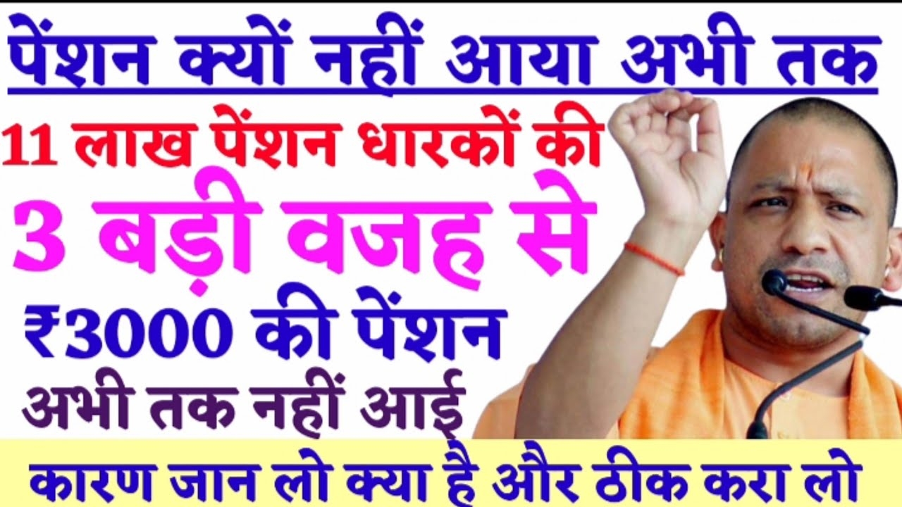 Viklang-Vidhwa Pension 2025